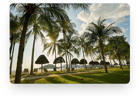 Beautiful travel destination with palm trees